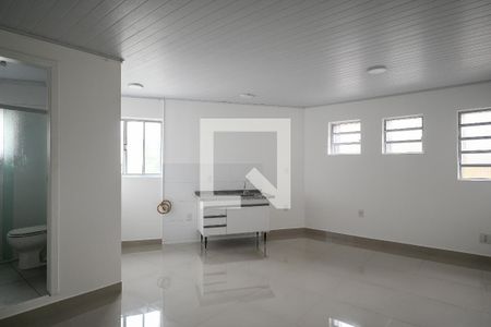 Sala/Quarto/Cozinha de apartamento para alugar com 1 quarto, 29m² em Jardim Previdencia, São Paulo