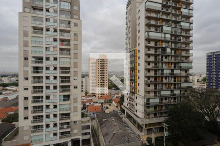 Vista da Suíte de apartamento para alugar com 3 quartos, 69m² em Santana, São Paulo