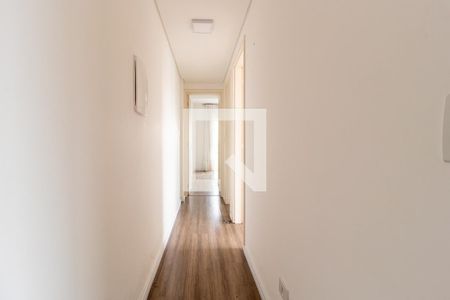 Corredor de apartamento para alugar com 2 quartos, 58m² em Portão, Curitiba