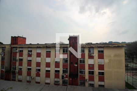 Vista do Quarto 1 de apartamento para alugar com 3 quartos, 60m² em Vila Nova, Porto Alegre