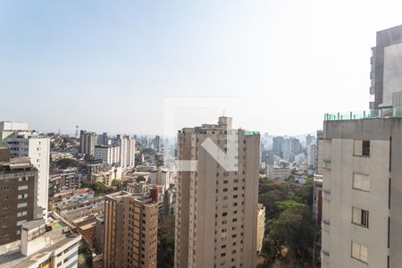 Vista da Varanda da Sala de apartamento à venda com 2 quartos, 80m² em Sion, Belo Horizonte