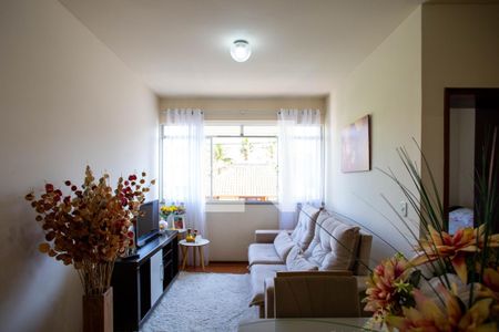 Sala de apartamento à venda com 2 quartos, 70m² em Ana Lúcia, Belo Horizonte