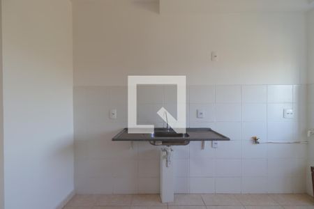 Cozinha  de apartamento para alugar com 2 quartos, 46m² em Jardim Santa Cecilia - Bonfim Paulista, Ribeirão Preto