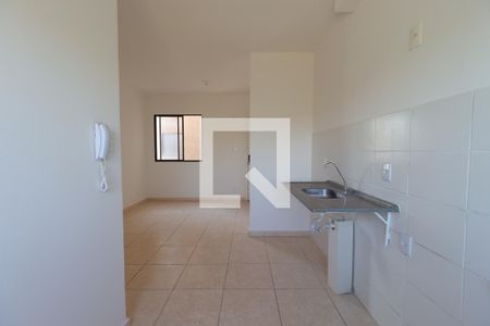 Cozinha  de apartamento para alugar com 2 quartos, 46m² em Jardim Santa Cecilia - Bonfim Paulista, Ribeirão Preto