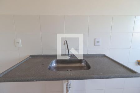 Cozinha  de apartamento para alugar com 2 quartos, 46m² em Jardim Santa Cecilia - Bonfim Paulista, Ribeirão Preto