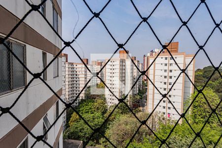 Vista Sala de apartamento para alugar com 2 quartos, 80m² em Jardim Iris, São Paulo