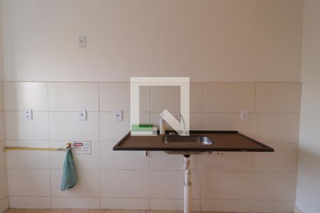 Cozinha de apartamento para alugar com 2 quartos, 43m² em Parque Residencial Candido Portinari, Ribeirão Preto