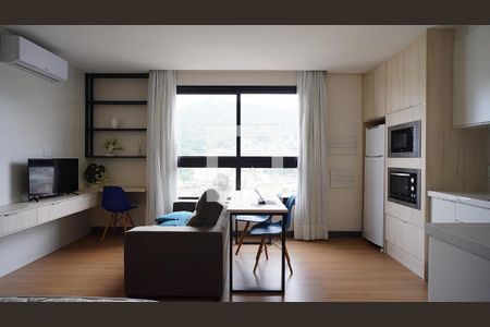 Studio de apartamento para alugar com 1 quarto, 55m² em Saco dos Limões, Florianópolis