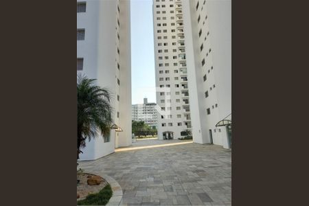 Apartamento à venda com 2 quartos, 64m² em Jardim Itapeva, São Paulo