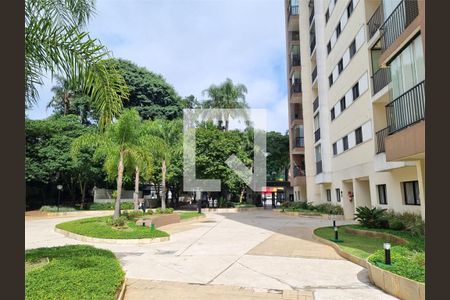 Apartamento à venda com 3 quartos, 69m² em Jardim Umuarama, São Paulo