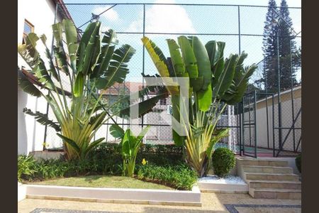 Casa à venda com 4 quartos, 390m² em Chácara Monte Alegre, São Paulo