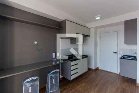 Studio de kitnet/studio para alugar com 1 quarto, 30m² em Vila Prudente, São Paulo