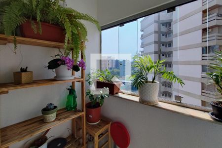 Varanda da Sala de apartamento à venda com 2 quartos, 77m² em Cambuí, Campinas