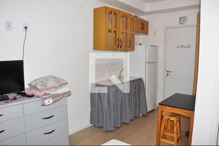 Sala/Quarto/Cozinha de apartamento para alugar com 1 quarto, 17m² em Vila Guedes, São Paulo