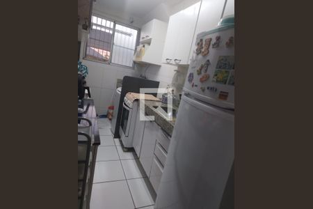 Cozinha de apartamento para alugar com 2 quartos, 47m² em Jardim Nova Europa, Campinas