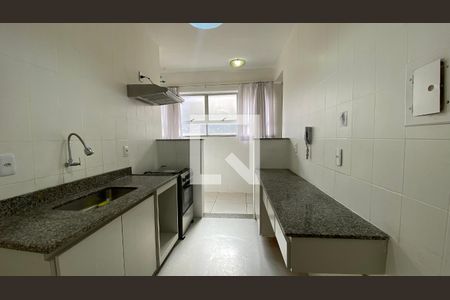 Cozinha de apartamento para alugar com 2 quartos, 102m² em Nova Suíça, Belo Horizonte