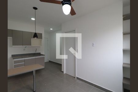 Sala/Cozinha de kitnet/studio para alugar com 1 quarto, 33m² em Vila Amelia, Ribeirão Preto