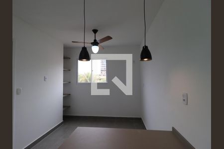 Sala/Cozinha de kitnet/studio para alugar com 1 quarto, 33m² em Vila Amelia, Ribeirão Preto