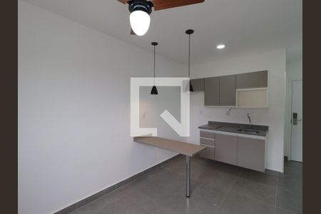 Sala/Cozinha de kitnet/studio para alugar com 1 quarto, 33m² em Vila Amelia, Ribeirão Preto