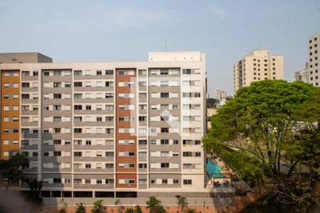 Vista do Quarto 1 de apartamento à venda com 3 quartos, 65m² em Vila Butantã, São Paulo