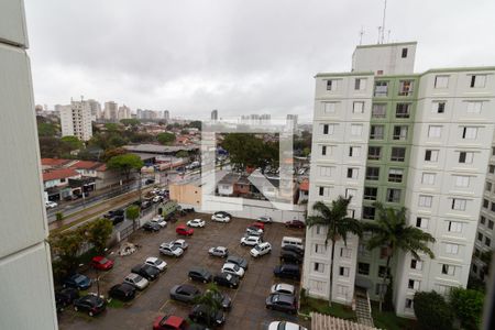 Vista da Sala de apartamento para alugar com 3 quartos, 69m² em Instituto de Previdencia, São Paulo