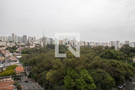 vistas_3 de apartamento à venda com 3 quartos, 164m² em Cambuci, São Paulo