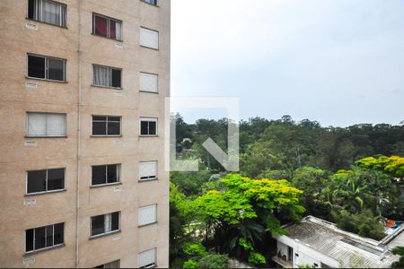 Vista de apartamento para alugar com 1 quarto, 24m² em Paraíso do Morumbi, São Paulo