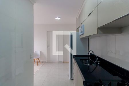 Cozinha de apartamento para alugar com 2 quartos, 38m² em Vila Tolstoi, São Paulo