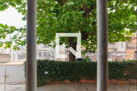 Vista de casa para alugar com 3 quartos, 285m² em Jardim Paranapanema, Campinas