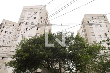 Área comum - Fachada de apartamento para alugar com 2 quartos, 45m² em Vila Nova Curuçá, São Paulo