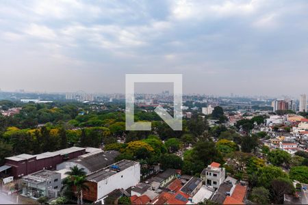 Vista de apartamento para alugar com 1 quarto, 46m² em Alto da Lapa, São Paulo