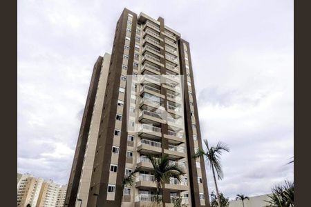 Apartamento à venda com 3 quartos, 77m² em Chácaras Campos Elíseos, Campinas