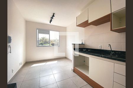 Cozinha de apartamento para alugar com 2 quartos, 32m² em Jardim Celeste, São Paulo