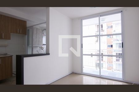 Sala de apartamento para alugar com 2 quartos, 45m² em Jardim Vila Formosa, São Paulo