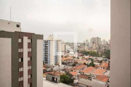 Vista da Sala de apartamento à venda com 3 quartos, 144m² em Vila Monte Alegre, São Paulo