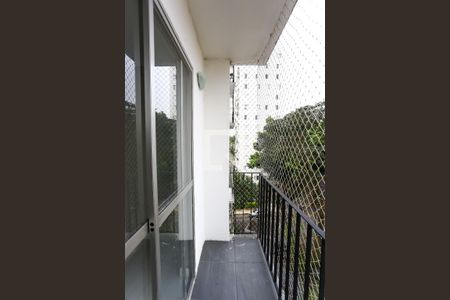 Varanda da Sala de apartamento para alugar com 2 quartos, 51m² em Jardim Umarizal, São Paulo