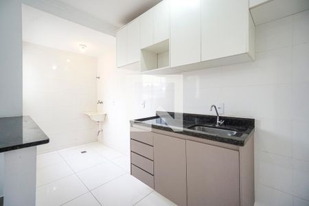 Cozinha de apartamento para alugar com 1 quarto, 29m² em Vila Moreira, São Paulo