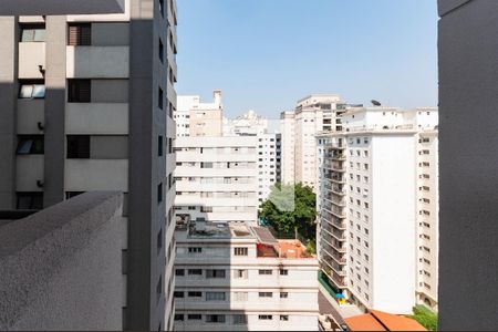 Vista de apartamento para alugar com 1 quarto, 33m² em Pompeia, São Paulo