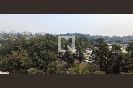 Vista da Sala de apartamento à venda com 2 quartos, 142m² em Jardim Morumbi, São Paulo