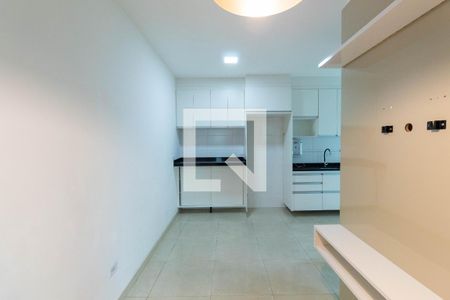 Sala/Cozinha de apartamento para alugar com 1 quarto, 32m² em Vila Ré, São Paulo