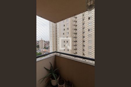 Varanda de apartamento para alugar com 3 quartos, 75m² em Vila Constancia, São Paulo