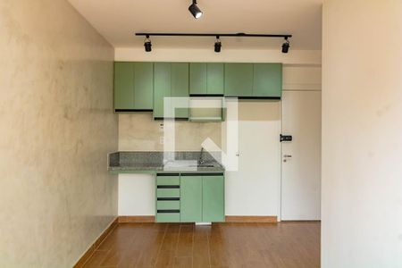 Cozinha de apartamento para alugar com 1 quarto, 29m² em Vila da Saúde, São Paulo