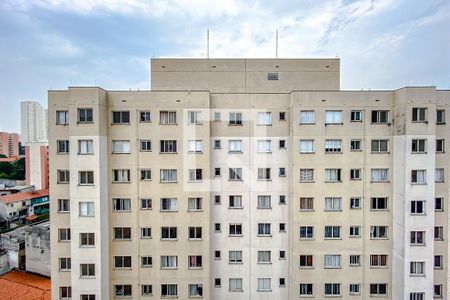 Vista da Sala de apartamento para alugar com 2 quartos, 41m² em Cambuci, São Paulo