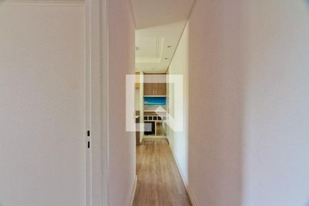 Corredor  de apartamento para alugar com 2 quartos, 50m² em Jardim Íris, São Paulo