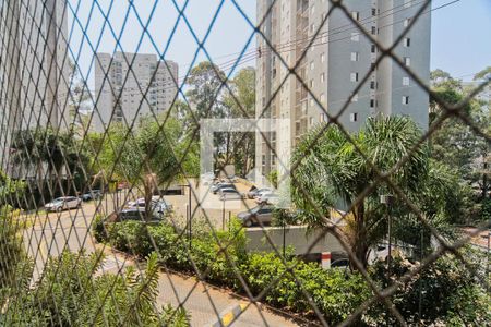 Varanda Sala de apartamento para alugar com 2 quartos, 50m² em Jardim Íris, São Paulo