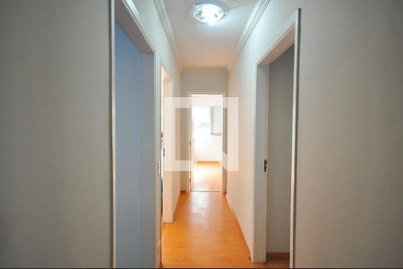 Corredor de apartamento para alugar com 3 quartos, 90m² em Portal do Morumbi, São Paulo