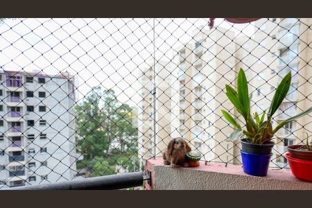 Vista da Varanda de apartamento à venda com 2 quartos, 54m² em Jardim Celeste, São Paulo