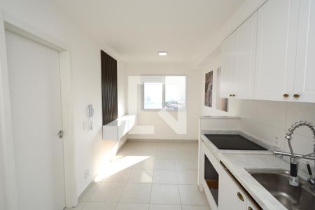 Sala/Cozinha de apartamento para alugar com 1 quarto, 27m² em Jardim Cidália, São Paulo