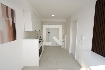 Sala/Cozinha de apartamento para alugar com 1 quarto, 27m² em Jardim Cidália, São Paulo