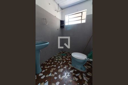 Banheiro de casa para alugar com 1 quarto, 40m² em Rio Pequeno, São Paulo